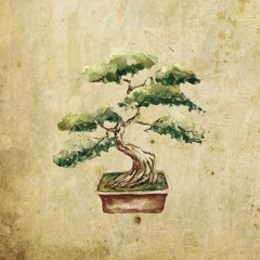 Prometh x Brak Oczu - Bonsai