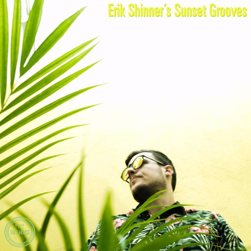Erik Shinner´s  Sunset Grooves