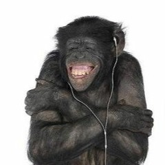 Dingo - Flathead (The Fratellis Cover)