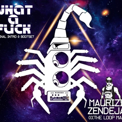 MAURIZIO ZENDEJAS (WHAT THE FUCK)))