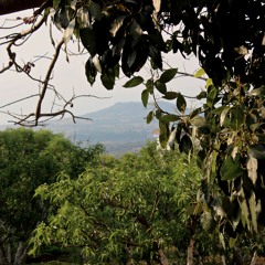 Mariachi Nuevo Imperial-Morelos, Mexico