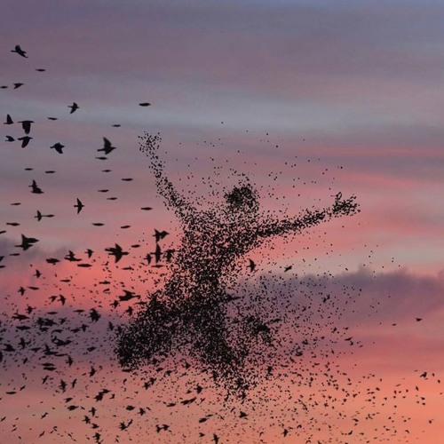 Nguoi Do Khong Phai Anh - kindyA