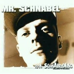 Mr.Schnabel feat SEF - Flieg mit mir (dmc beat) The Message EXKLUSIVE