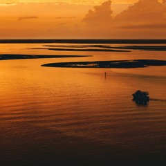 Chillicious Discoveries - March 2017 [Final Selection]