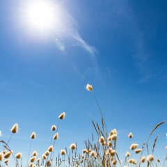 I Still Love You - The Overtunes (cover) Julia Emka Feat Reynard CT