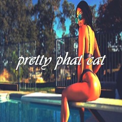 Ward 21 - Pretty Phat Cat ( Reynold Music ) 2K17