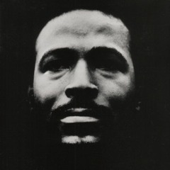 The Voxtape #2 "Remembering Marvin"