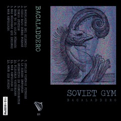 7. STALIN VINTAGE FITNESS (cut)