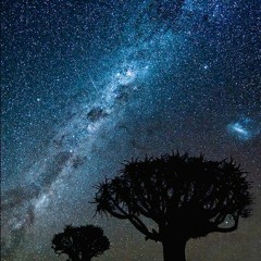 Dusk Till Dawn - 2010