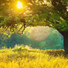 Melting in a Meadow mini mix - 2012