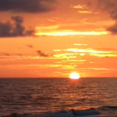 My Baby Got Gone (demo)