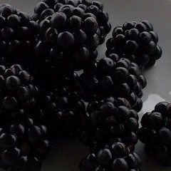 Never The Same (part 1 - 4) (rough version)