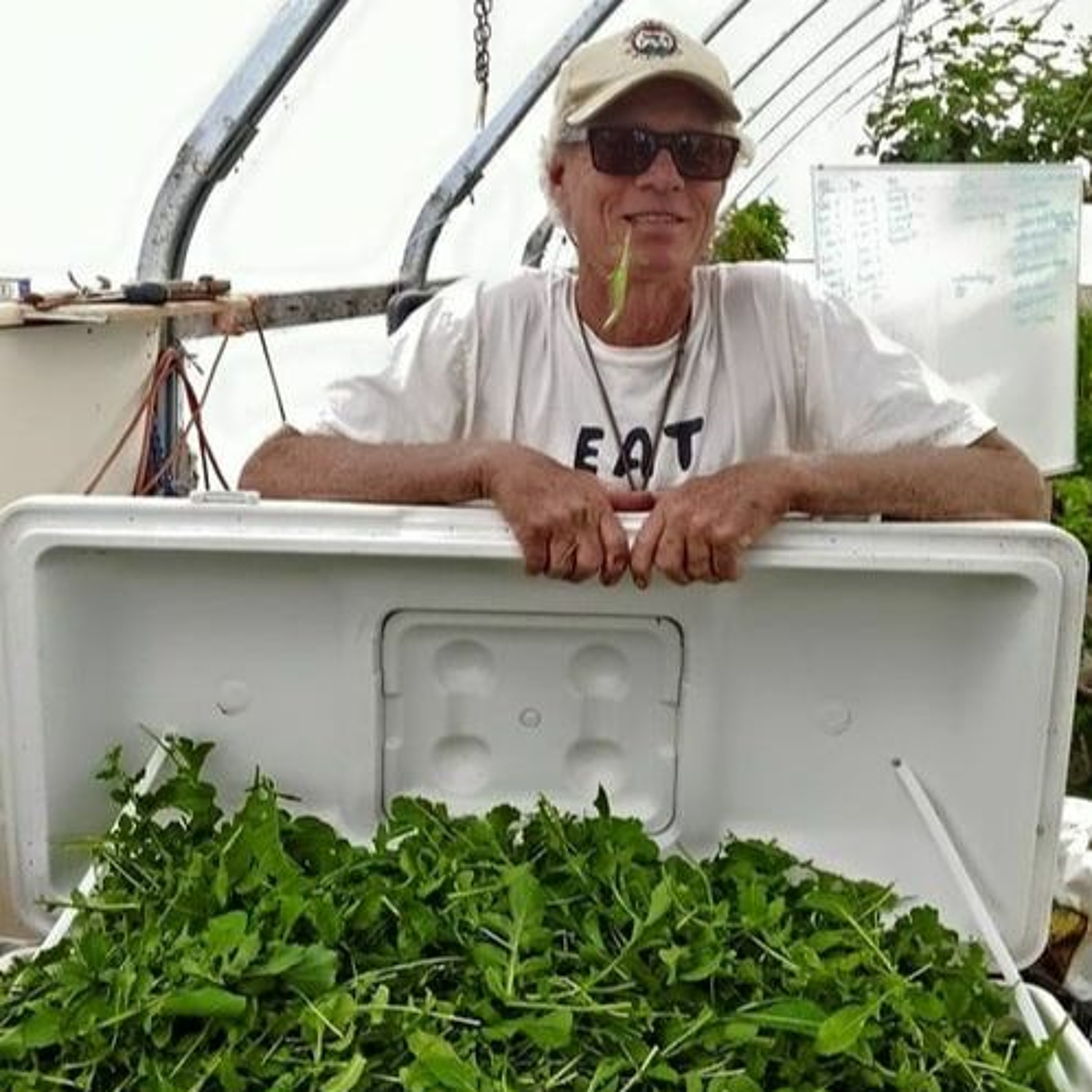 Seed Story Broadcasts