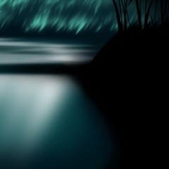 Sounds Of The Forest