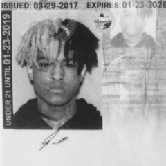 FREE X