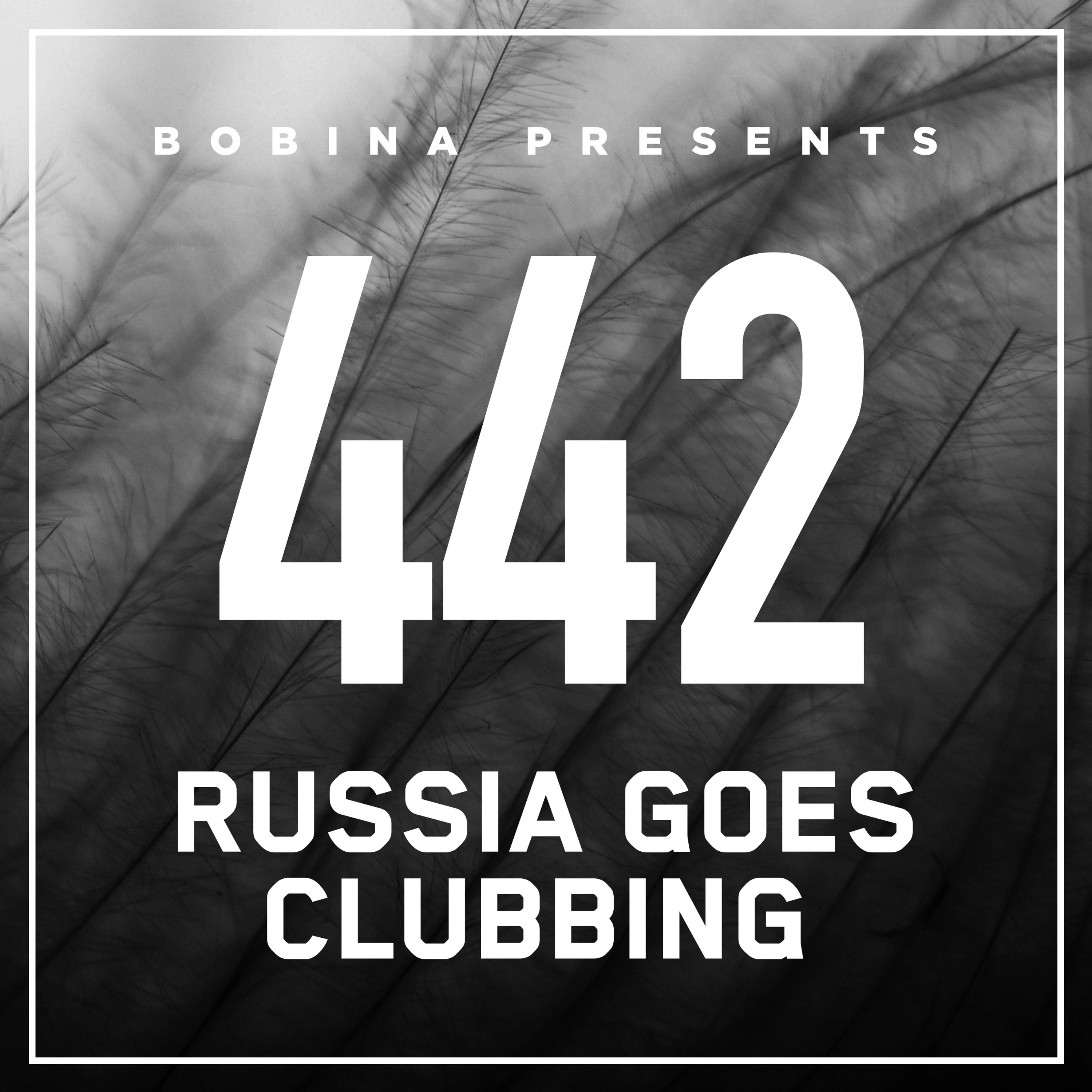 Russia Goes Clubbing