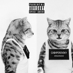 Cashperovsky - Я Убил Киску (sk1nnydave Mix)
