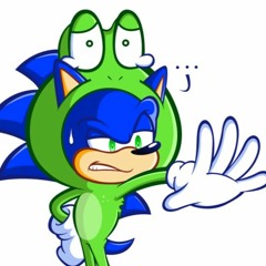 Zone 3 - Speedy Sonic Sibs 3