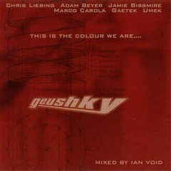 GEUSHKY - this is the colour we are... (mixed by Ian Void)