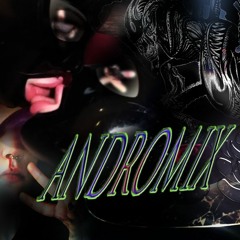 Assylum Feel Factor Andromix #1
