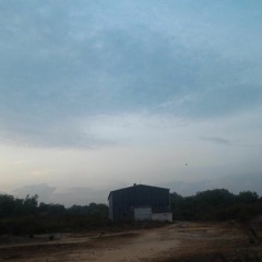 Early Summer Rain