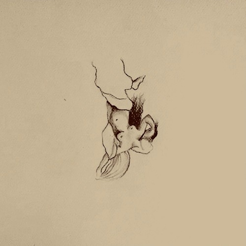 Never Strangers