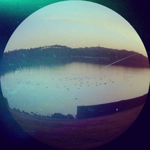 Arctic Monkeys Crawling Back To You