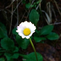 April