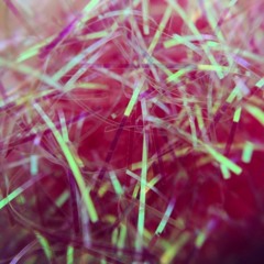 Mopsik - Black Mountain