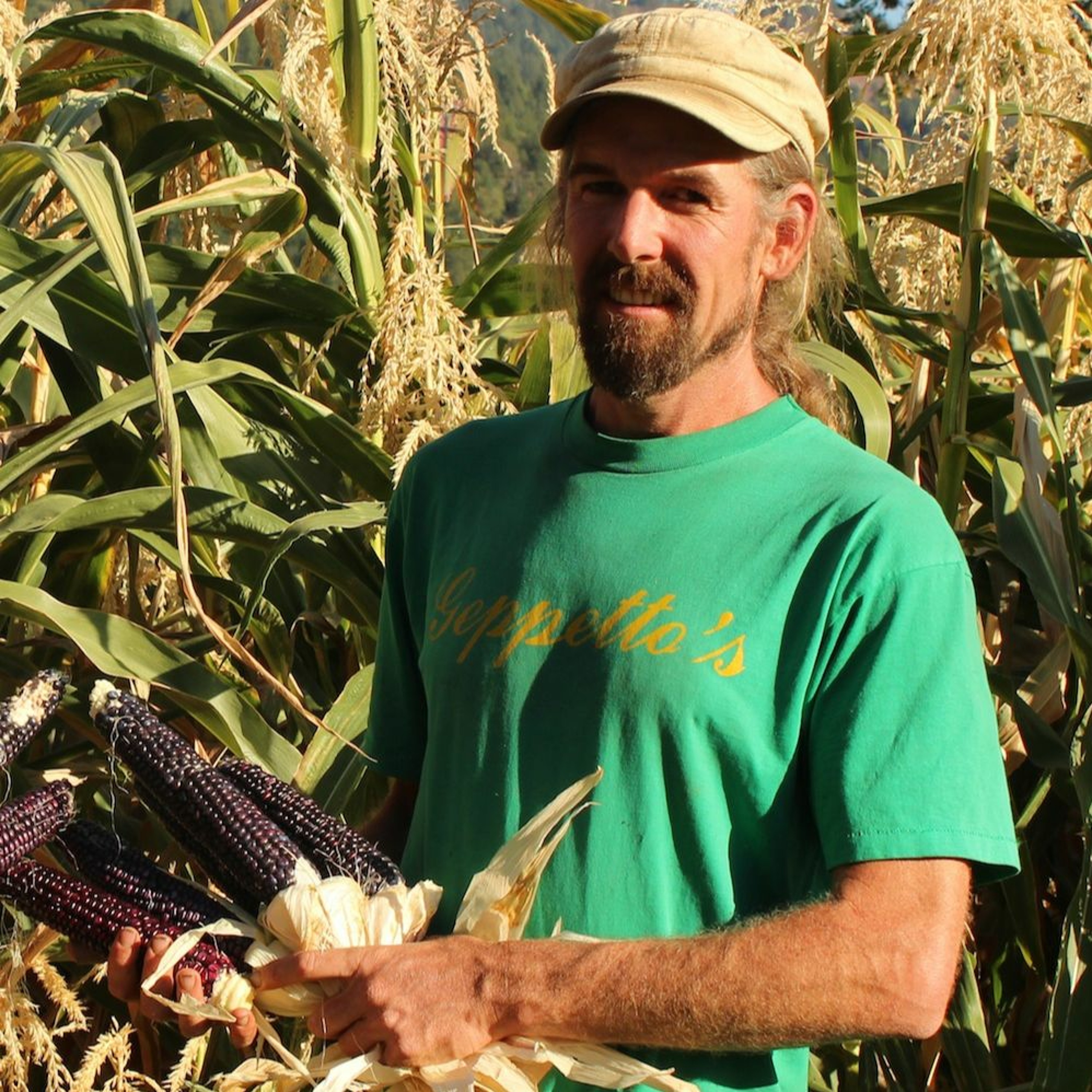 Seed Story Broadcasts