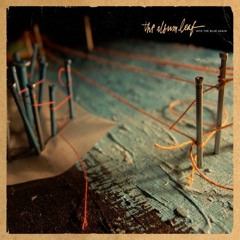 The Light (The Album Leaf)
