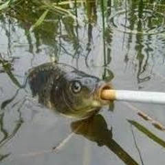 i'll give you this beat for a cigarette