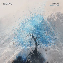 Qbical - Lose It All (Original Mix) | ICONYC 238W110