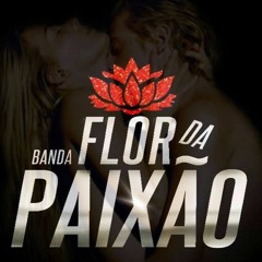 BANDA FLOR DA PAIXAO - BEM MAIS ALEM ( FORRO NOVO 2017 )