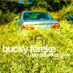 I Can Get Off On You (Willie Nelson & Waylon Jennings)