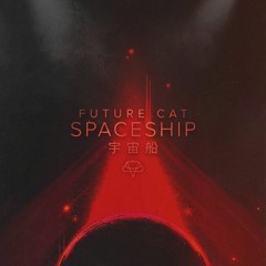 Future Cat - Spaceship