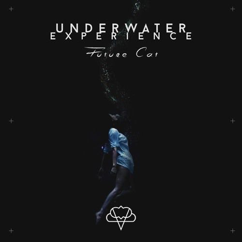 Future Cat - Underwater Experience