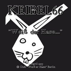 Keibel66-Weiß der Hase