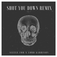 Shot You Down Remix w/ Lord Garrison