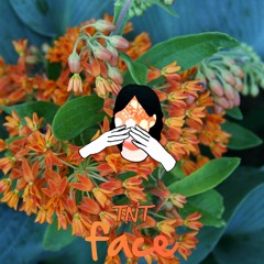 TNT - Face (Prod. Don Cancel)