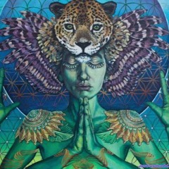 RAIDR - Guided Meditation (FREE)