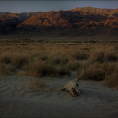 Oasis (Original Mix)