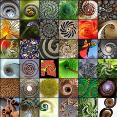 Spirals and other brilliants