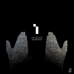 Integer - Polaris