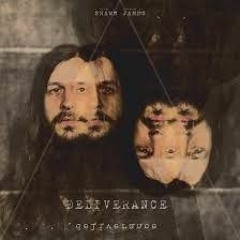 Shawn James- Through The Valley