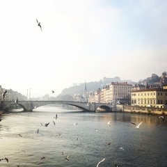 Vogue Sur La Saône