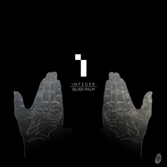 Integer - Silver Palm | OUT NOW