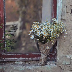 ayrılık provaları, kemal, varol.