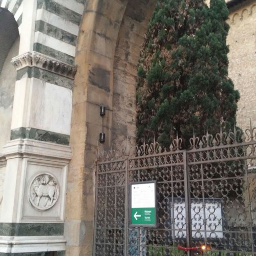 Stream Firenze - Gli uccelli del chiostro di Santa Maria Novella by I suoni  della vostra vita | Listen online for free on SoundCloud