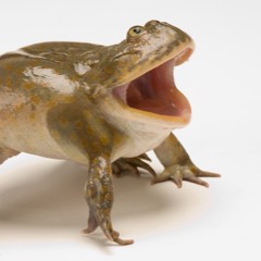 I Had This Idea For A Month And Im Still Chuckling To Myself